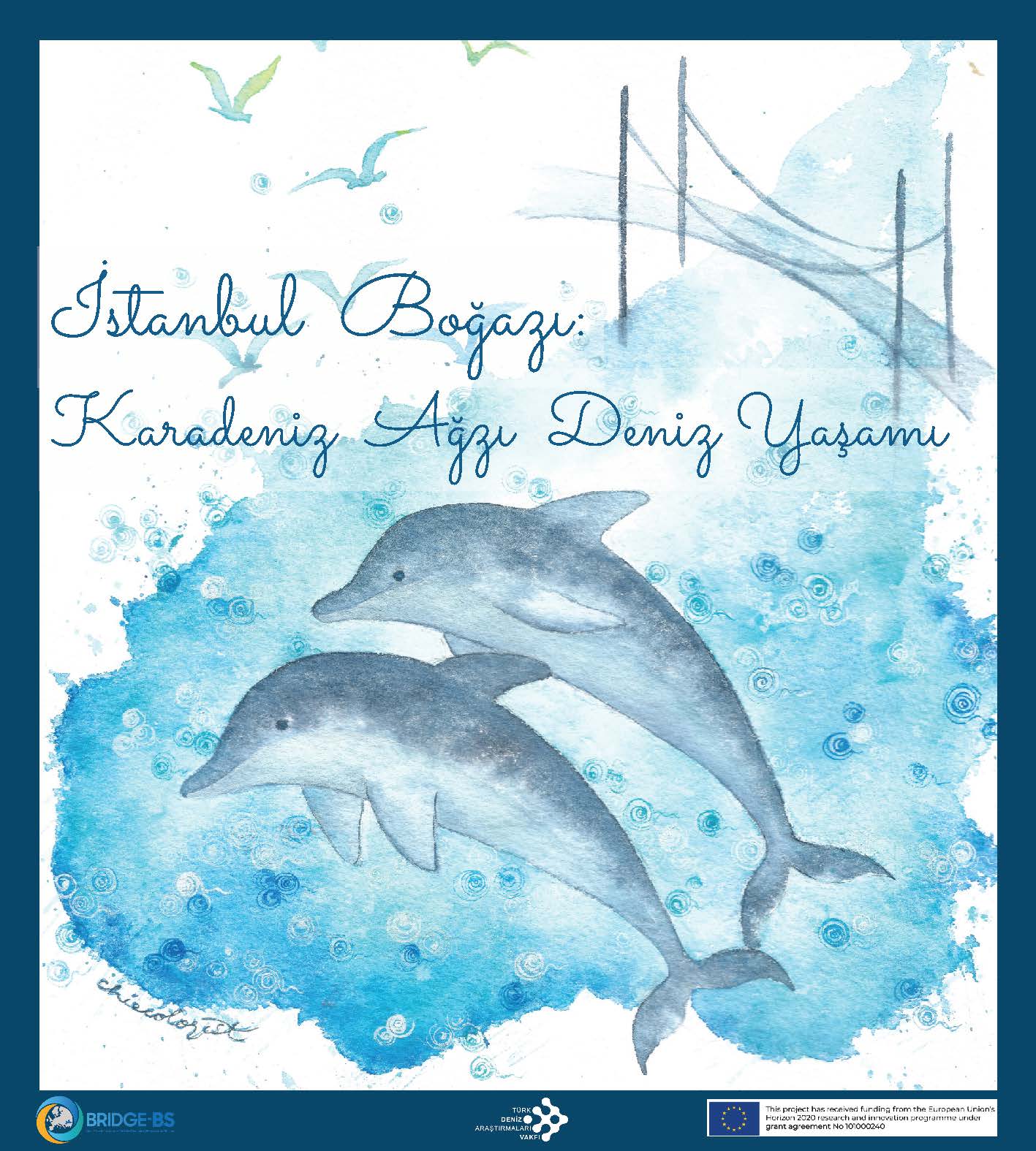 İstanbul Boğazı: Karadeniz Ağzı Deniz Yaşamı