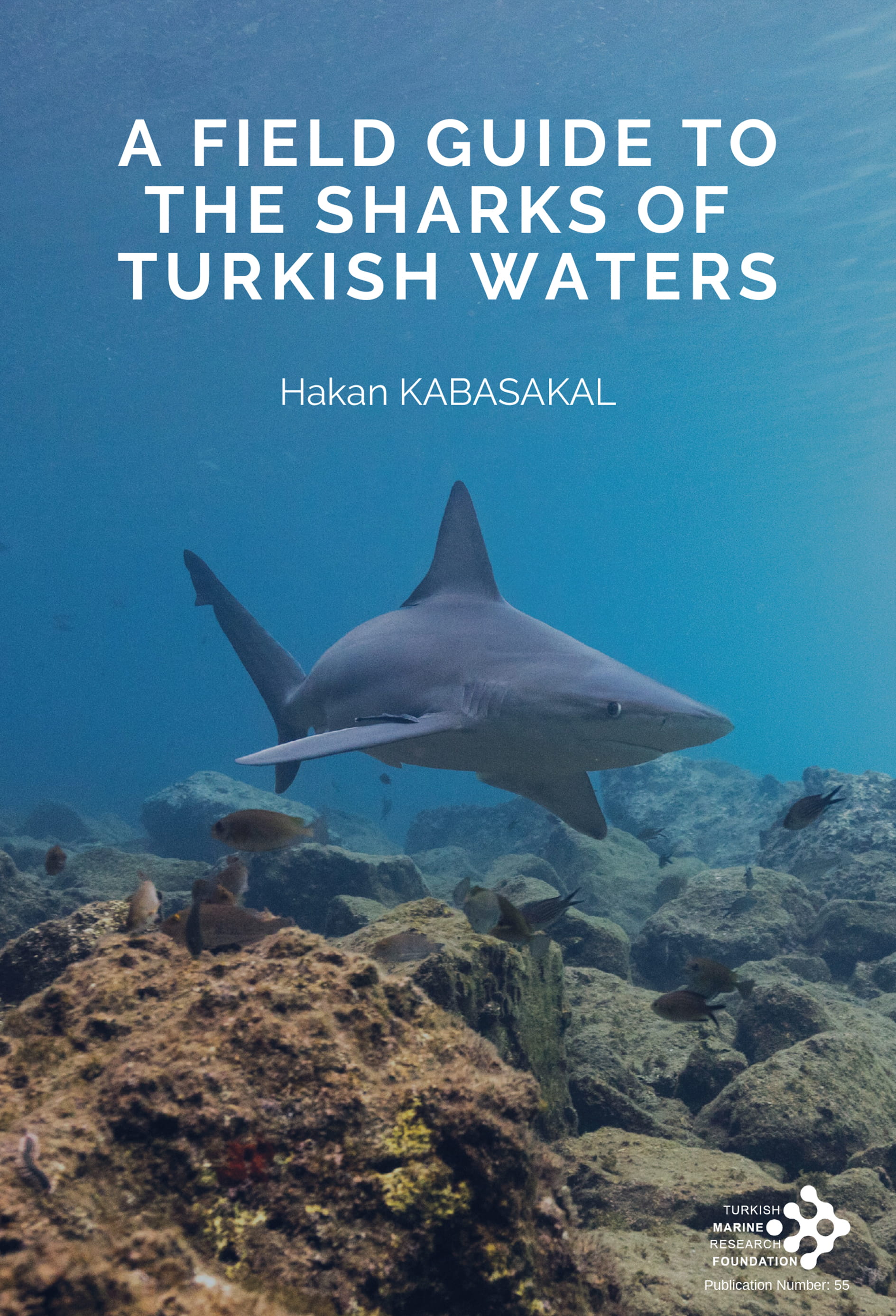 A Field Guide to The Sharks of Turkish Waters