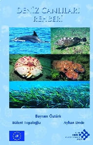 Marine Organisms Guide