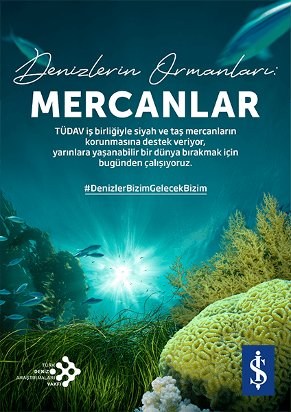 Denizlerin Ormanları: Mercanlar