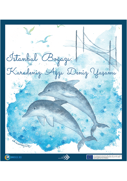 İstanbul Boğazı Çalışmaları