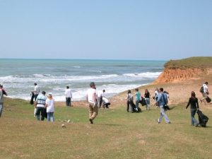 Karadeniz'de Nesli Azalan Mersin Balığının Korunması Projesi