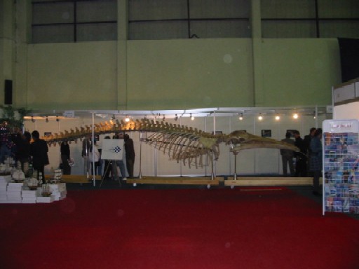 Boat Show 2002