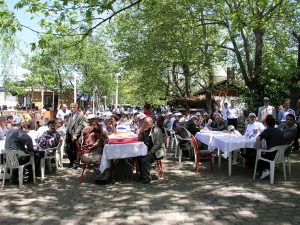 Karadeniz'de Nesli Azalan Mersin Balığının Korunması Projesi