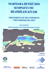 Marmara Denizi 2010