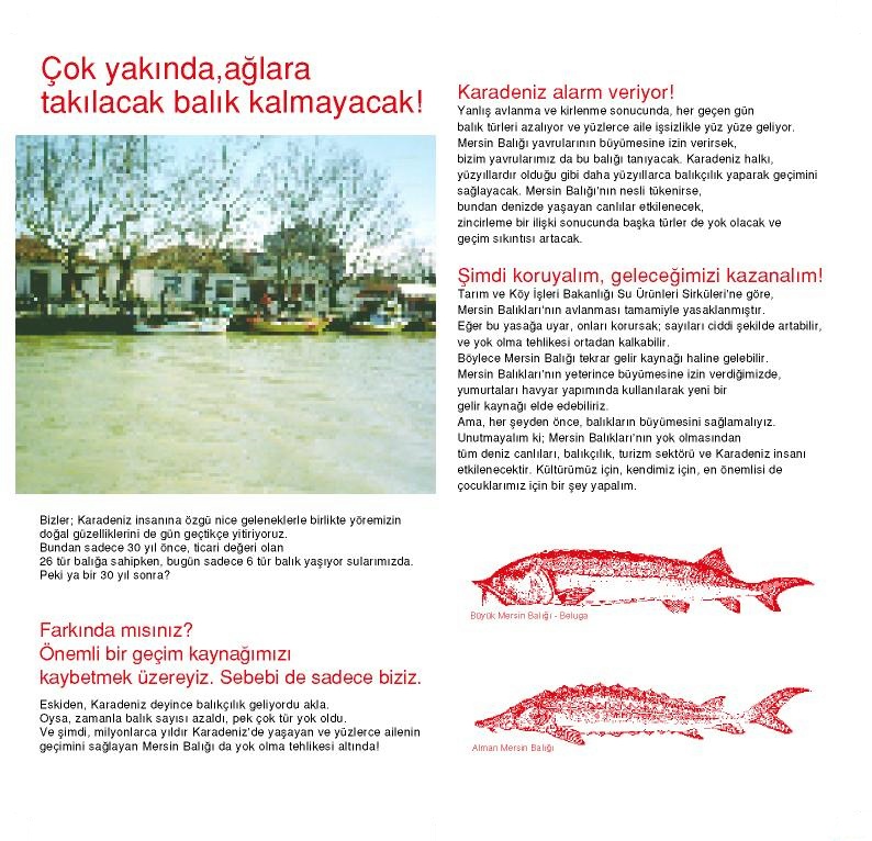 The Project for the Protection of Sturgeons 2004