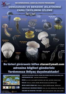 Denizanası ve Benzer Jelatinimsi Canlılar İzleme Programı