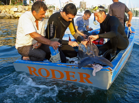 İstanbul’da Yunus Kurtarma Operasyonu 2011