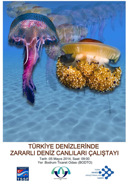 Türkiye Denizlerinde Zararlı Deniz Canlıları Çalıştayı 2014