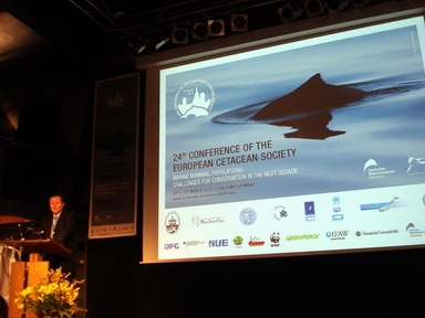 24. European Cetacean Society Konferansı 2010