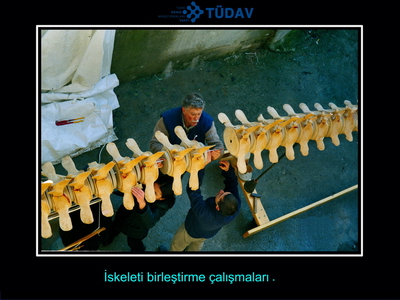Bir balinanın hikayesi 2000