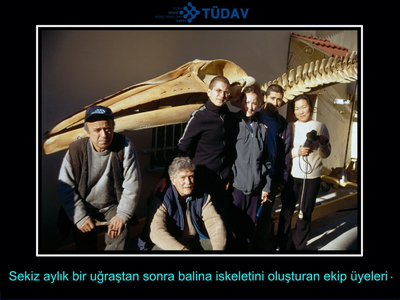 Bir balinanın hikayesi 2000