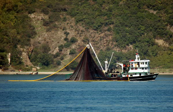 Balıkçılık Sezonu Sorunlarla Açılıyor