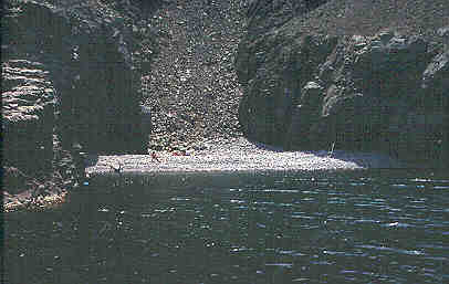 Turkish Aphrodite Project (Supported by RAC/SPA and ICRAM) 2002