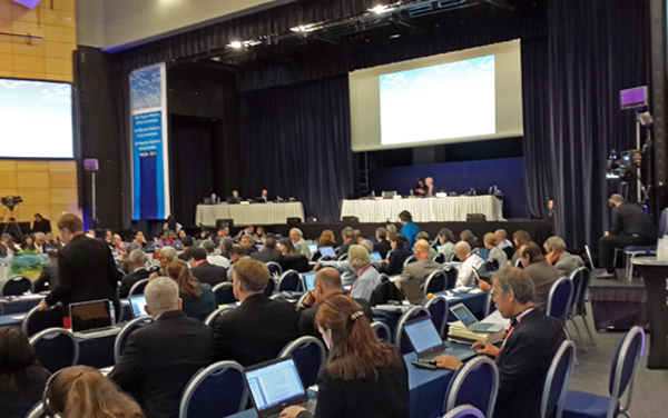 ICCAT Toplantısı 2015