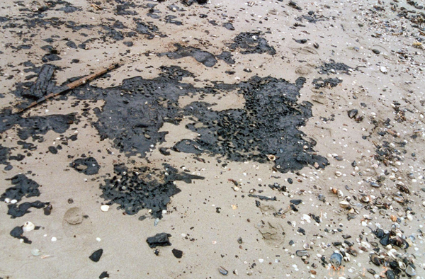 Petrol Kirliliği