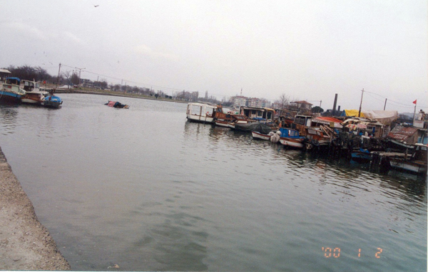 Petrol Kirliliği