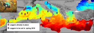 Akdeniz’in Isınması İzleniyor