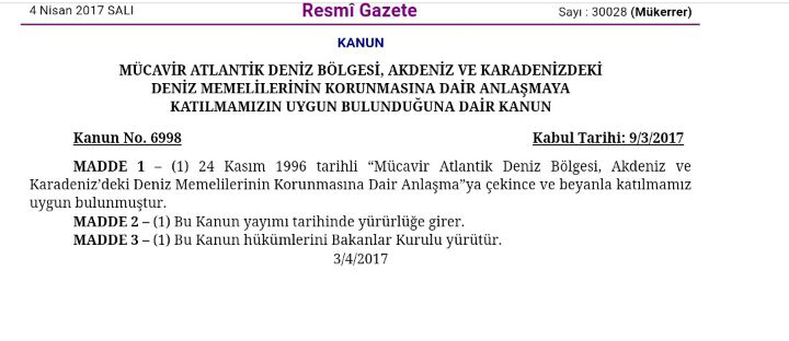 ACCOBAMS Anlaşması Yürürlüğe Girdi! 2017