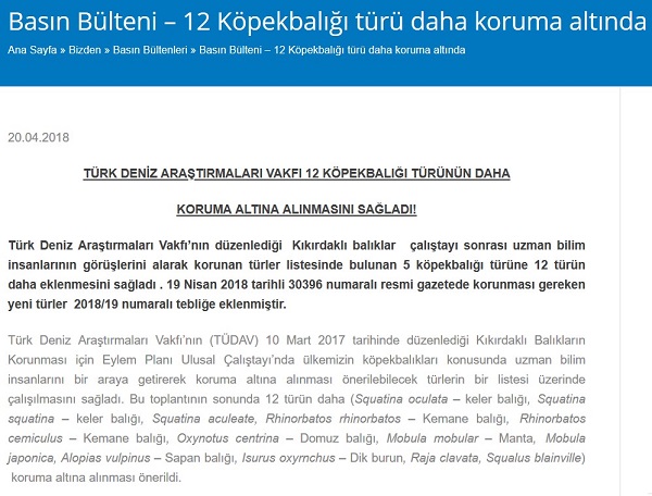 TÜDAV Türkiye Kıkırdaklı Balıklar Araştırma ve Koruma Programı