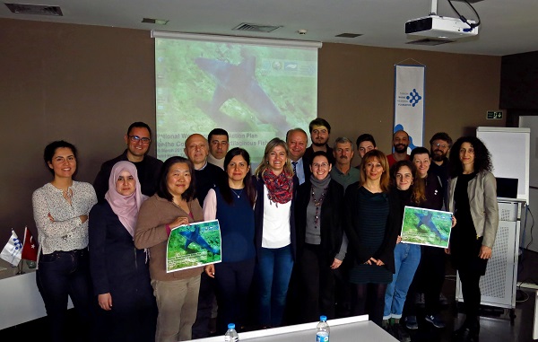 Cartilaginous Fish Research and Conservation Programme in Turkey by TUDAV