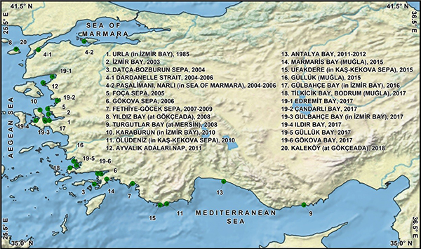 Deniz Çayırları