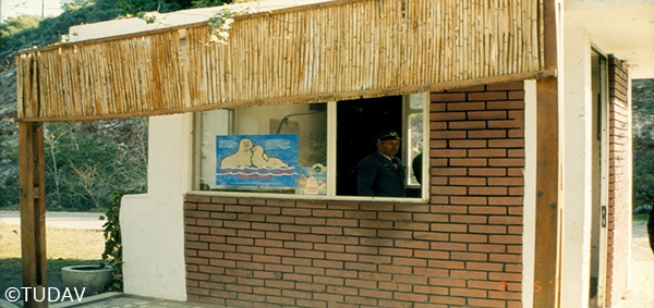 Akdeniz Foku ve Korunması