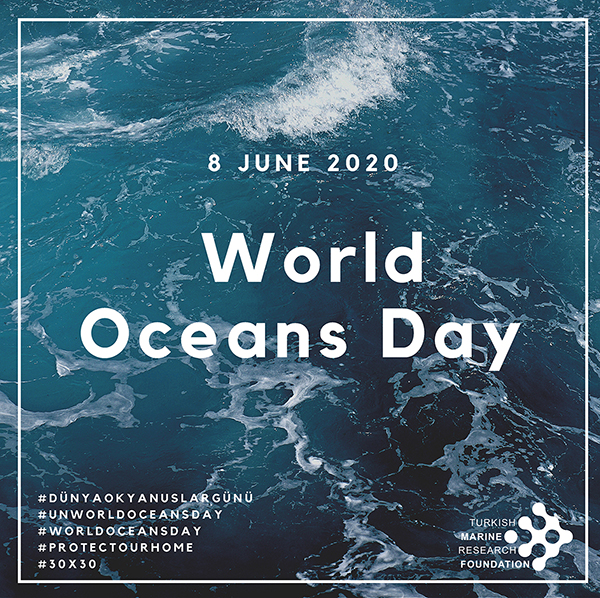 8 June World Oceans Day 2020