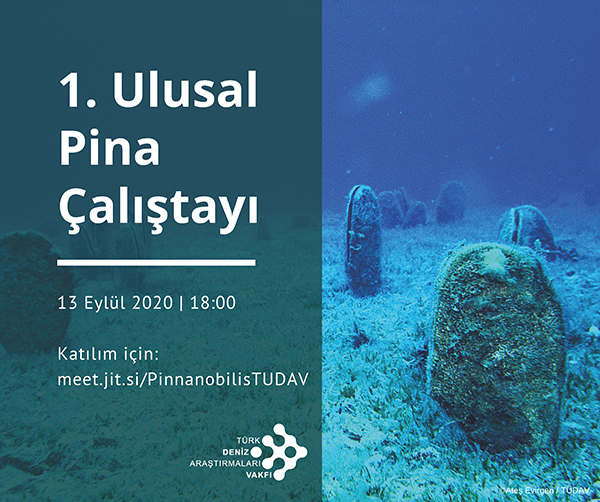 1. Ulusal Pina Çalıştayı
