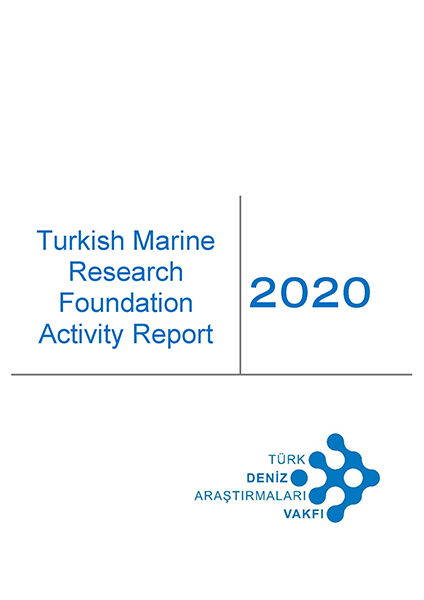 2020 Activity Report