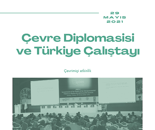 Sürdürülebilir Kalkınma ve Çevre Diplomasisi