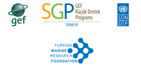 Sürdürülebilir Kalkınma ve Çevre Diplomasisi