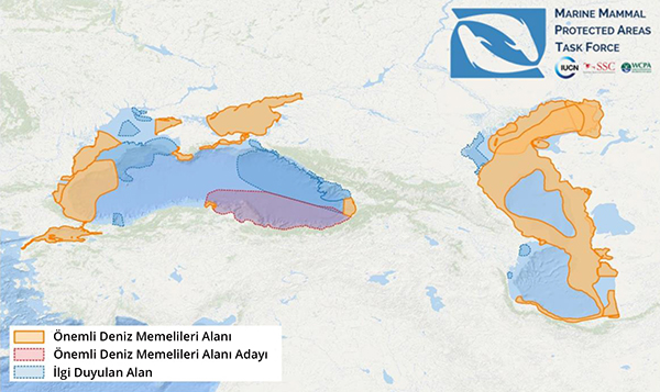 Basın Bülteni – Önemli Deniz Memelileri Alanları İlan Edildi