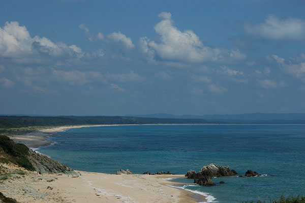Deniz Okuryazarlığı Kursu