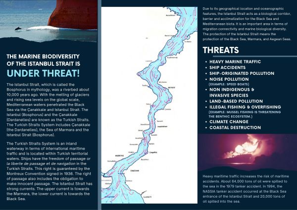 The Marine Biodiversity of the Istanbul Strait is under Threat