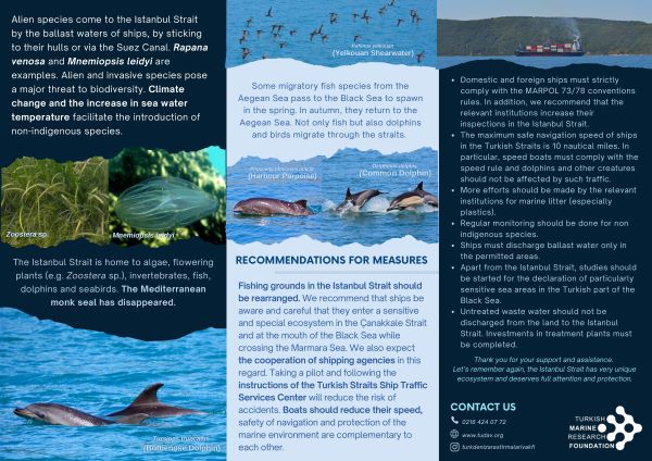 The Marine Biodiversity of the Istanbul Strait is under Threat