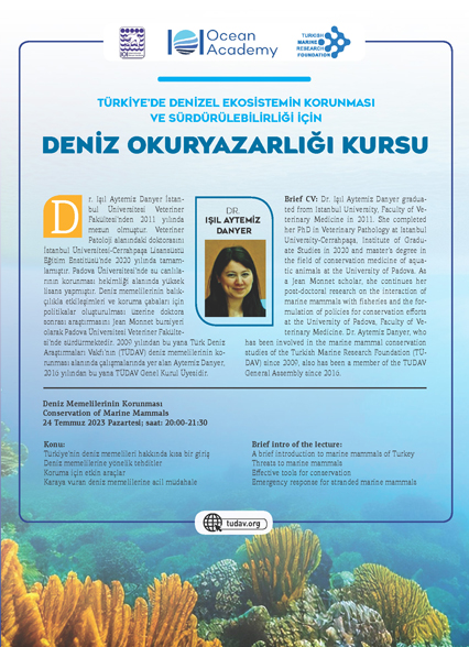 Deniz Okuryazarlığı Kursu